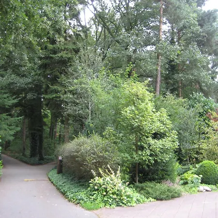Bosrijk Ruighenrode-5 By Interhome Lochem