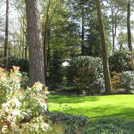 Bosrijk Ruighenrode-5 By Interhome * Lochem