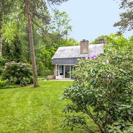 Bosrijk Ruighenrode-5 By Interhome * Lochem