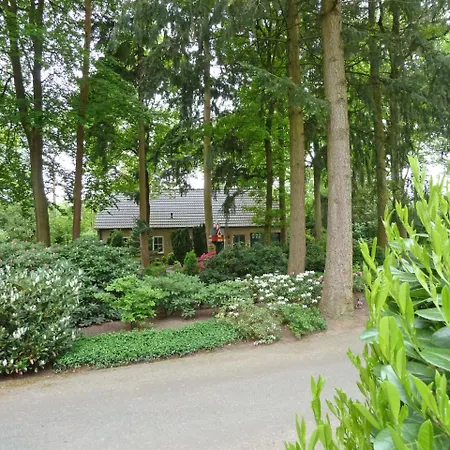 Bosrijk Ruighenrode-5 By Interhome Holiday home Lochem