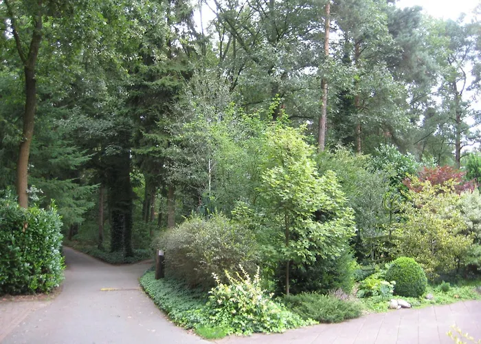 6l-5 By Interhome Lochem