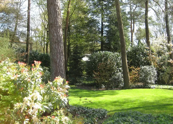 6l-5 By Interhome * Lochem