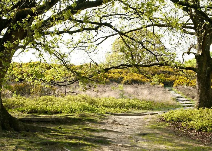 6l-5 By Interhome * Lochem